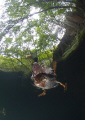 Duck. Vivian quarry. North Wales. D200, 10.5mm. 